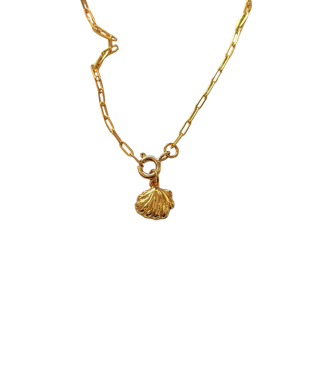 Shell Charm