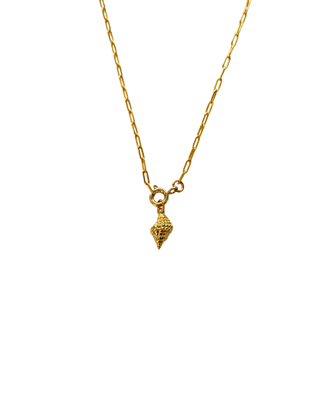 Konkylie Charm