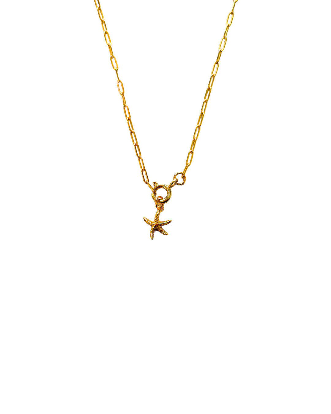 Søstjerne Charm
